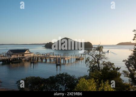 Mattina presto a Paihia, Bay of Islands, nuova Zelanda Foto Stock