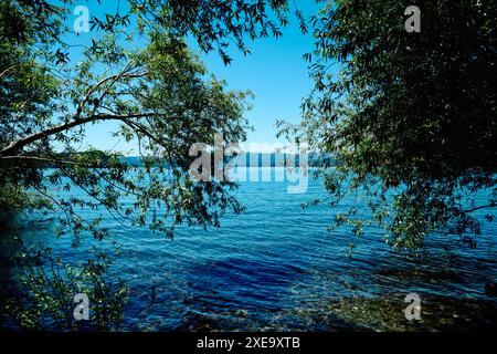 Alberi e arbusti verdi luminosi che costeggiano un lago di montagna. Cielo azzurro. Acqua calma. Foto Stock