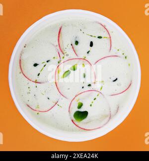 Zuppa fredda di yogurt estivo con ravanello Foto Stock