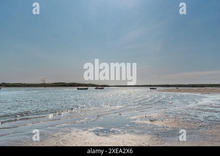 punta blu nelle mangrovie di tumbes con la bassa marea in una giornata di sole e cielo blu circondato da alberi Foto Stock