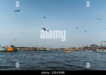 punta blu nelle mangrovie di tumbes con la bassa marea in una giornata di sole e cielo blu circondato da alberi Foto Stock