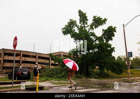 Bloomington, Stati Uniti. 25 giugno 2024. Un albero è giù lungo la 7th Street dopo un forte temporale. La tempesta che ha portato forti venti abbatte gli alberi e ha causato interruzioni di corrente in tutta la città. La tempesta che ha portato forti venti abbatte gli alberi e ha causato interruzioni di corrente in tutta la città. (Foto di Jeremy Hogan/SOPA Images/Sipa USA) credito: SIPA USA/Alamy Live News Foto Stock