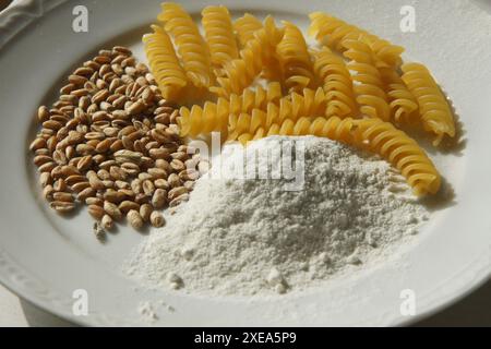 Triticum aestivum, frumento, grano, tagliatelle, farina Foto Stock