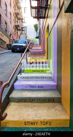 Installazione di Vinton Court Steps, murale di Erin Jang, conosciuto come Chinatown Flavor, parte del pop-up Color Factory, Chinatown, il 27 novembre 2017 a S Foto Stock