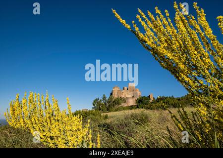 Loarre castello Foto Stock