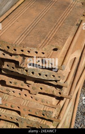 Nestbox con bumblebee Foto Stock