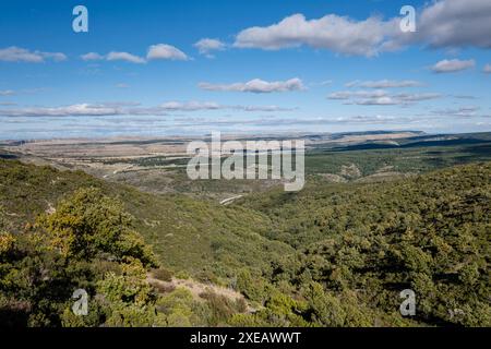 Riserva di caccia di Sonsaz Foto Stock