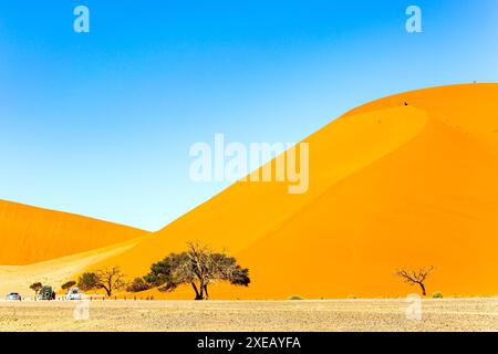 Il parco Namib-Naukluft Foto Stock