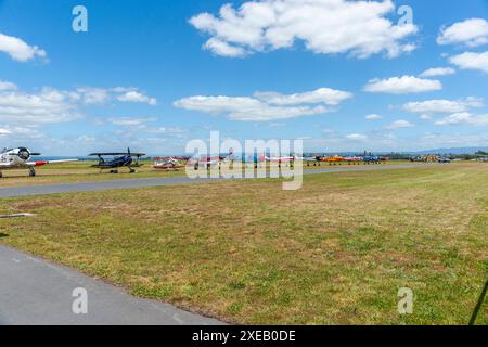 Tauranga nuova Zelanda - gennaio 28 2012; lunga fila di aerei parcheggiati lungo la pista al Tauranga Airshow. Foto Stock