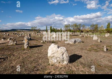 Necropoli di Las Ruedas Foto Stock