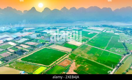 La fioritura di bombax ceiba nei sobborghi di Hanoi attira molti turisti da visitare e scattare foto Foto Stock