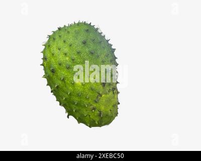 frutto di soursop isolato su sfondo bianco. Frutta di soursop dal continente americano Foto Stock