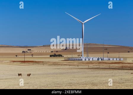 Hornsdale Power Reserve, sede del primo sistema di immagazzinamento delle batterie Big Battery (BESS) Tesla al mondo quando è stata installata per la prima volta, lungo un parco eolico su larga scala Foto Stock