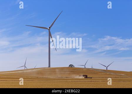 Mietitrebbia che lavora davanti alle turbine eoliche presso la Hornsdale Power Reserve vicino a Jamestown, Australia meridionale Foto Stock