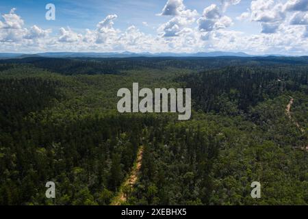 Vista aerea di una strada che attraversa il Goodnight Scrub National Park Queensland, Australia. La strada attraversa un paesaggio lussureggiante pieno di tana Foto Stock