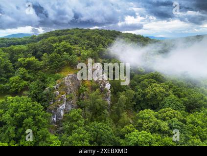 Foresta verde paesaggio montano dopo pioggia e tempesta nella montagna del Tribec dal drone, Slovacchia, Plieska Foto Stock