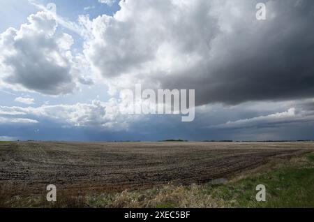 In rapido mutamento del tempo in Alberta, Canada. Foto Stock