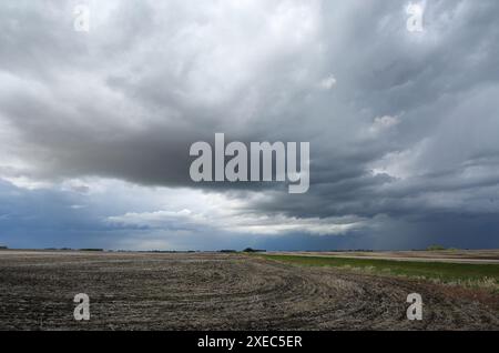 In rapido mutamento del tempo in Alberta, Canada. Foto Stock
