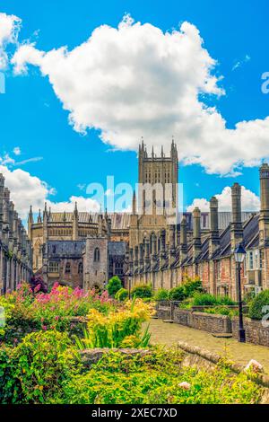 Coloratissimi fiori estivi e cattedrale vista da Vicars Close, Wells - la più antica strada abitata in Europa, Somerset, Inghilterra, Regno Unito Foto Stock