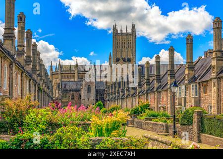 Coloratissimi fiori estivi e cattedrale vista da Vicars Close, Wells - la più antica strada abitata in Europa, Somerset, Inghilterra, Regno Unito Foto Stock