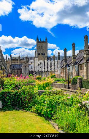 Coloratissimi fiori estivi e cattedrale vista da Vicars Close, Wells - la più antica strada abitata in Europa, Somerset, Inghilterra, Regno Unito Foto Stock