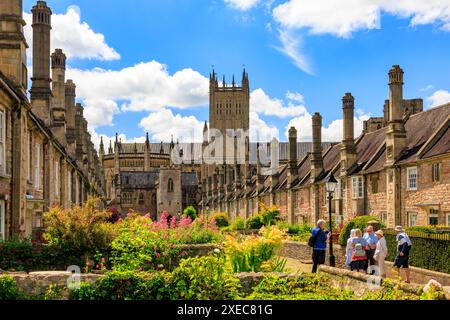 Coloratissimi fiori estivi e cattedrale vista da Vicars Close, Wells - la più antica strada abitata in Europa, Somerset, Inghilterra, Regno Unito Foto Stock