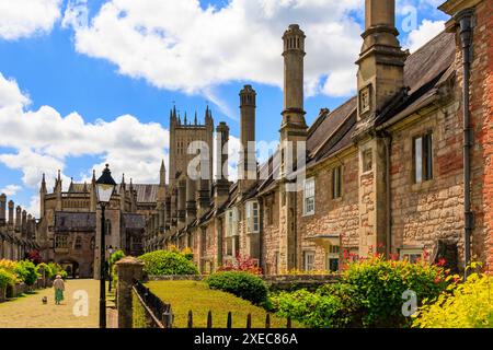 Coloratissimi fiori estivi e cattedrale vista da Vicars Close, Wells - la più antica strada abitata in Europa, Somerset, Inghilterra, Regno Unito Foto Stock