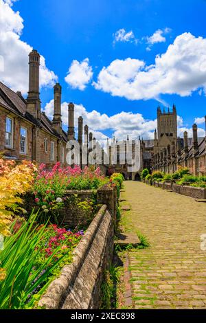 Coloratissimi fiori estivi e cattedrale vista da Vicars Close, Wells - la più antica strada abitata in Europa, Somerset, Inghilterra, Regno Unito Foto Stock