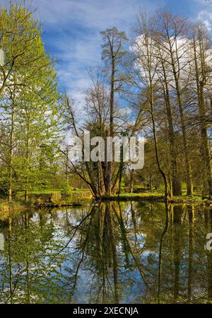 Castello di Paffendorf, parco del castello, Bergheim, basso Reno, Renania settentrionale-Vestfalia, Germania, Europa Foto Stock