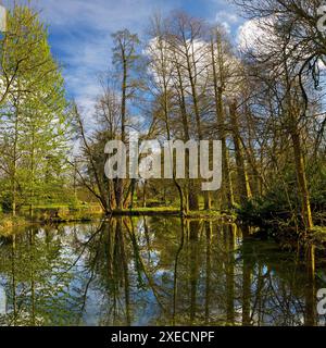 Castello di Paffendorf, parco del castello, Bergheim, basso Reno, Renania settentrionale-Vestfalia, Germania, Europa Foto Stock