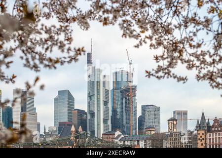 Fiorisce in primavera di fronte a Francoforte all'alba. splendide viste della città e dello skyline Foto Stock