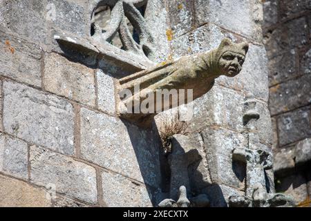 Vista dettagliata di una storica statua in gargoyle sulla Collegiale Saint Aubin a Guerande, Francia, che mostra l'architettura gotica. Foto Stock