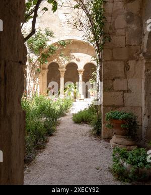 Saint-Rémy-de-Provence, Francia. Chiostri presso il monastero di Saint-Paul de Mausole Asylum dove il famoso pittore Vincent van Gogh trascorse un anno a dipingere Foto Stock