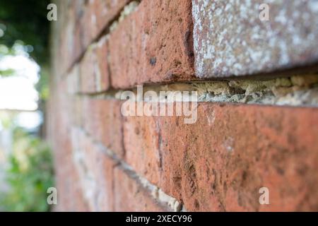 Un vecchio muro di mattoni intemprati che necessitava di essere riposizionato nel villaggio rurale britannico Foto Stock