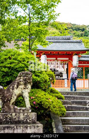 Uno scorcio della sala principale di Uji Jinja, con la statua di un Komainu all'ingresso e un turista, nella città di Uji, prefettura di Kyoto, Giappone. Foto Stock