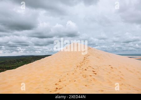 Duna di Pilat in Francia, la duna di sabbia più alta d'Europa. Collina sabbiosa con un cielo nuvoloso sullo sfondo. Vedute mozzafiato delle colline sabbiose circostanti Foto Stock