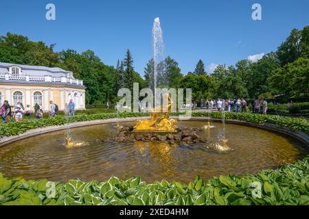 PETRODVORETS, RUSSIA - 13 GIUGNO 2024: Fontana di Tritone in un pomeriggio di giugno soleggiato. Palazzo Peterhof e complesso del parco Foto Stock