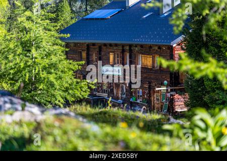 Il Filzmoosalm è aperto in estate. Oltre alla stalla, ci sono due camere per gli ospiti e camere per gli ospiti che pernottano al piano superiore. L'alp si trova sulla Salzburger Almenweg. Filzmoosalm, Großarl, Salisburgo, Austria Foto Stock