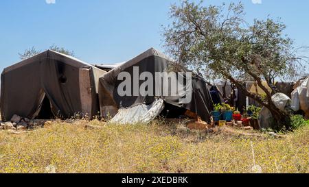 Sarmada, Governatorato di Idlib, Siria. 11 giugno 2024. Sarmada, Idlib, Siria. 11 giugno 2024. Scene di vita quotidiana nel campo di Tell al-Fakhar nel nord-ovest della Siria. Tell al-Fakhar è uno dei campi di sfollati interni (IDP) vicino a Sarmada, nel governatorato di Idlib. I residenti del campo di Tell al-Fakhar vivono in tende usurate per 6 anni dopo essere stati sfollati dalle loro case a seguito di scioperi effettuati dalle forze governative siriane (immagine di credito: © Hussein Ali/IMAGESLIVE via ZUMA Press Wire) SOLO PER USO EDITORIALE! Non per USO commerciale! Foto Stock