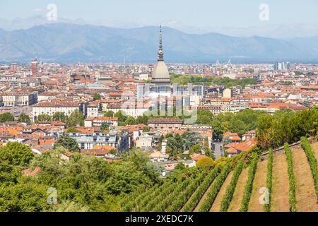 Torino - panorama con Mole Antonelliana monumento, vigneto e montagne alpine Foto Stock