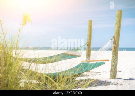 Amache su una bella e ampia spiaggia vuota con sole brillare Foto Stock