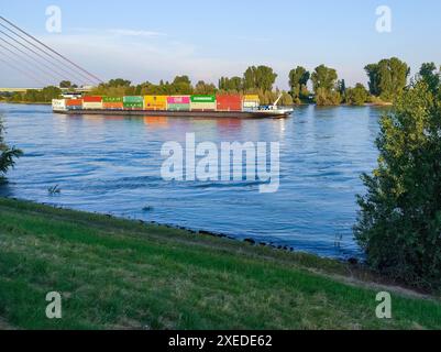 Düsseldorf 27.06.2024 Handelsschiff Rheinschiff Rheinschiffer Transportschiff Frachtschiff Frachter Frachtgut Stückgut Containerschiff container Frachtcontainer Hapag-Lloyd UASC Evergreen Lieferkette Lieferketten Lieferkettengesetz Transportwege Rhein bei Volmerswerth Düsseldorf Nordrhein-Westfalen Deutschland *** Düsseldorf 27 06 2024 nave mercantile Rhine nave Rhine skipper trasporto merci nave cargo container di carico generale container di nave container di carico Hapag Lloyd UASC Evergreen supply chain chain supply chain law Transport rotte Reno vicino a Volmerswerth Düsseldorf Renania settentrionale-Westp Foto Stock