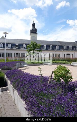 Castello di Braunshardt Foto Stock