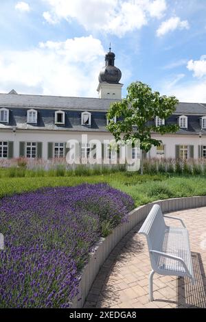 Castello di Braunshardt Foto Stock