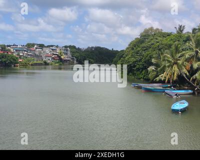 Mahebourg, fiume la Chaux. Mauritius Foto Stock