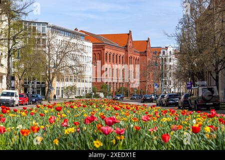 Foto della capitale della Sassonia-Anhalt Magdeburg an der Elbe Foto Stock