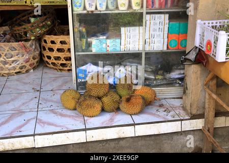 Gente del posto che vende frutta duriana da raccolti di piantagioni, Bali in Indonesia Foto Stock