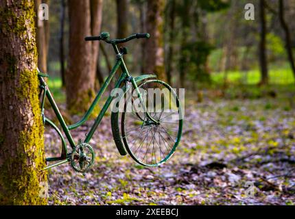 Una vecchia bicicletta su un tronco d'albero nella foresta Foto Stock