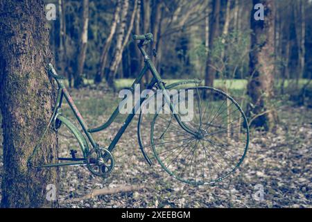 Una vecchia bicicletta su un tronco d'albero nella foresta Foto Stock