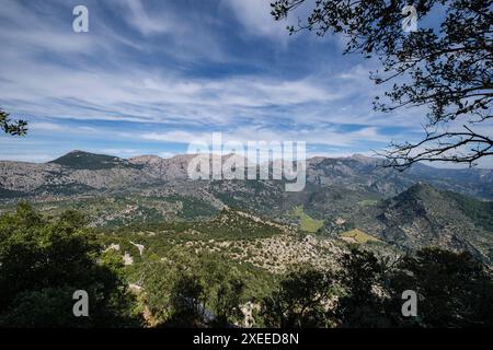 Castello di Alaro, rovine delle mura occidentali, Alaro, Maiorca, Isole Baleari, Spagna Foto Stock